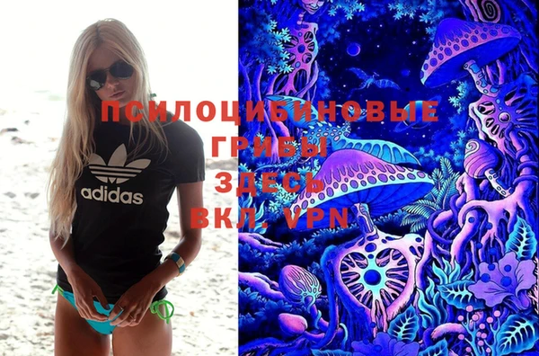 спиды Сафоново