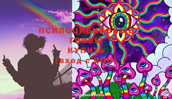 спиды Сафоново