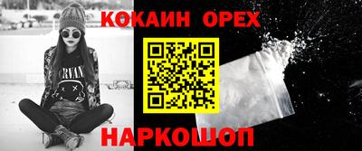 мет Кингисепп