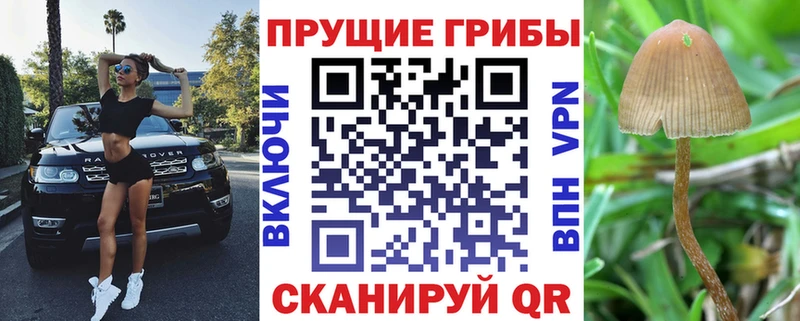 Галлюциногенные грибы GOLDEN TEACHER Советск
