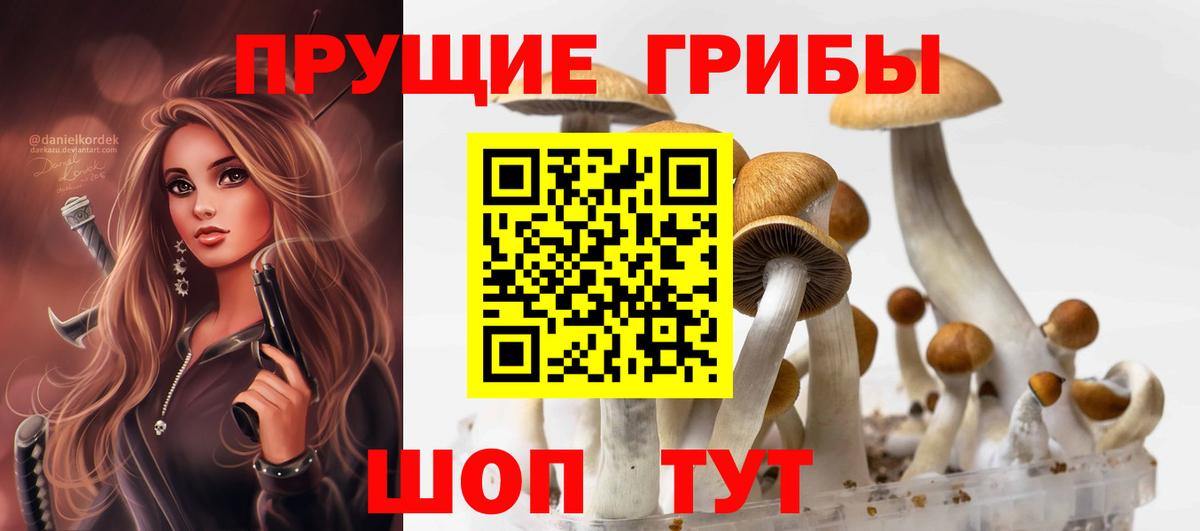 Псилоцибиновые грибы прущие грибы  Псилоцибиновые грибы Psilocybe  Вход с VPN  Советск 