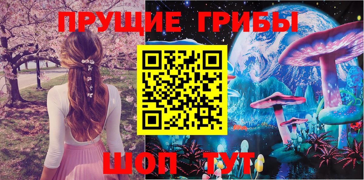 Галлюциногенные грибы Psilocybine cubensis Советск